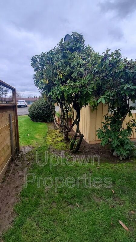 Ground Floor Single Story 2BR/1BTH in  Meadow Brook Village + W/D Included + All pets welcome! property image