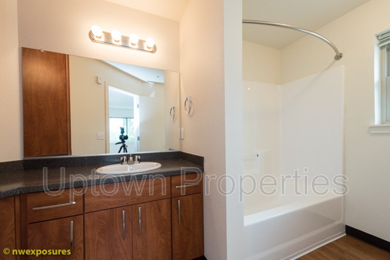 Massive 3Bed/2Bath 1275sqft New Construction property image