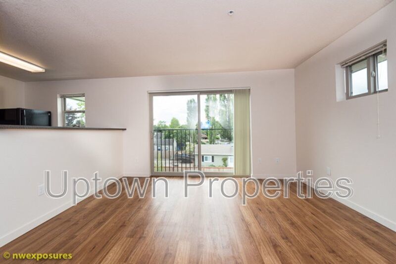 Spacious NEW Construction 925 sq ft 2 bed 1 bath W/D included property image