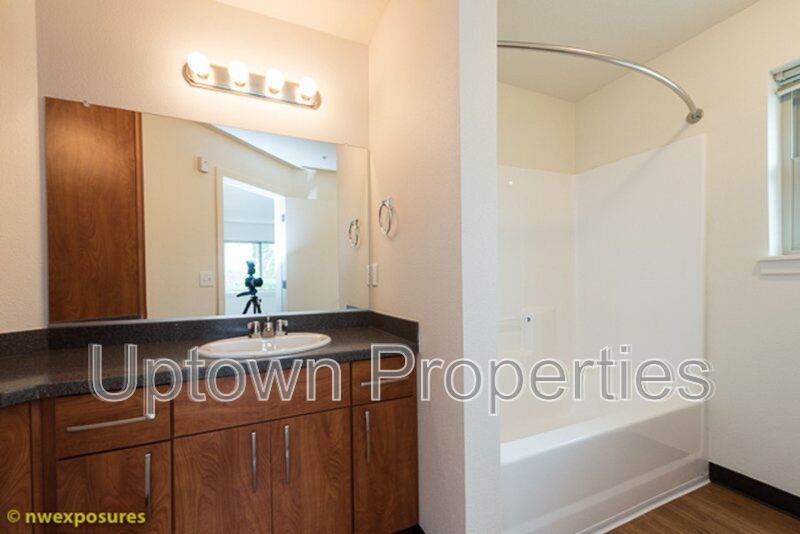 Spacious New Construction 725 SQFT 1BR/1BA W/D Included property image